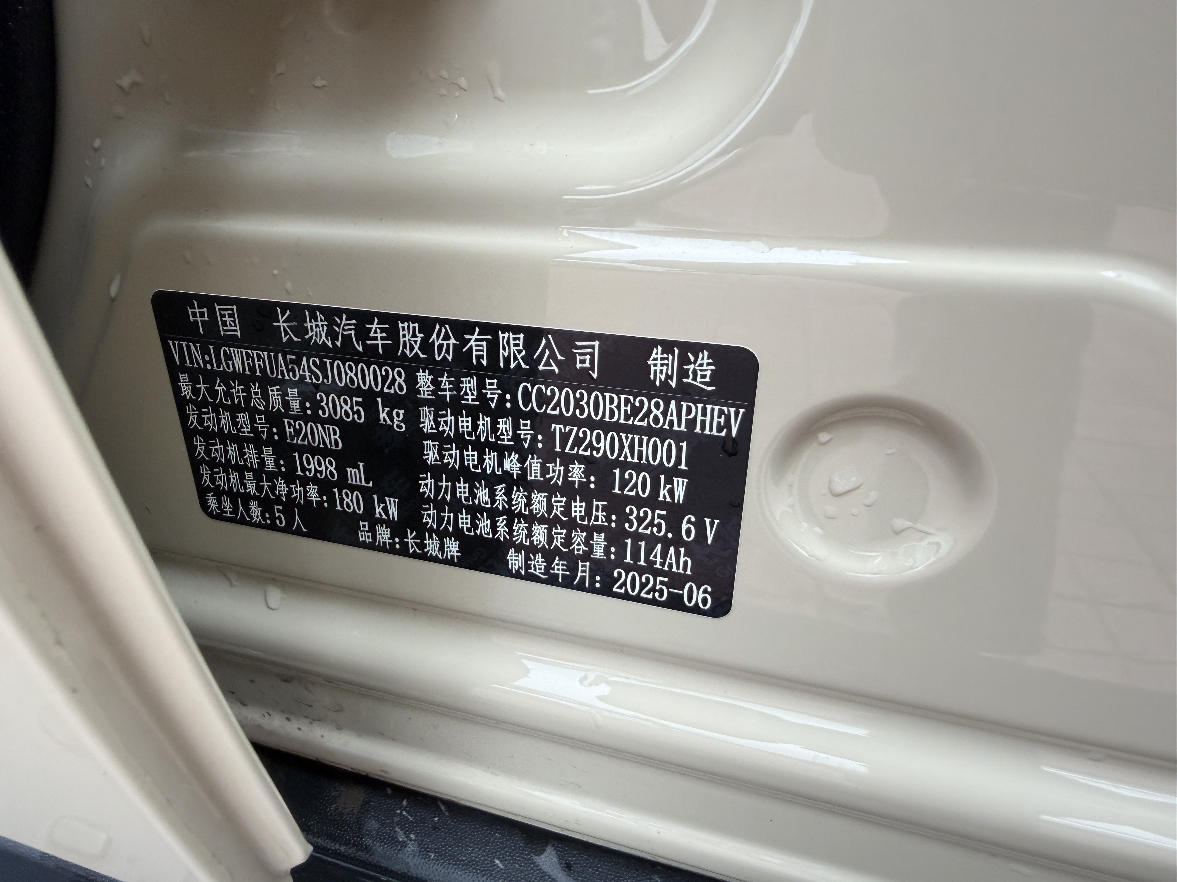 Tank 300 New Energy 2025 car image #13