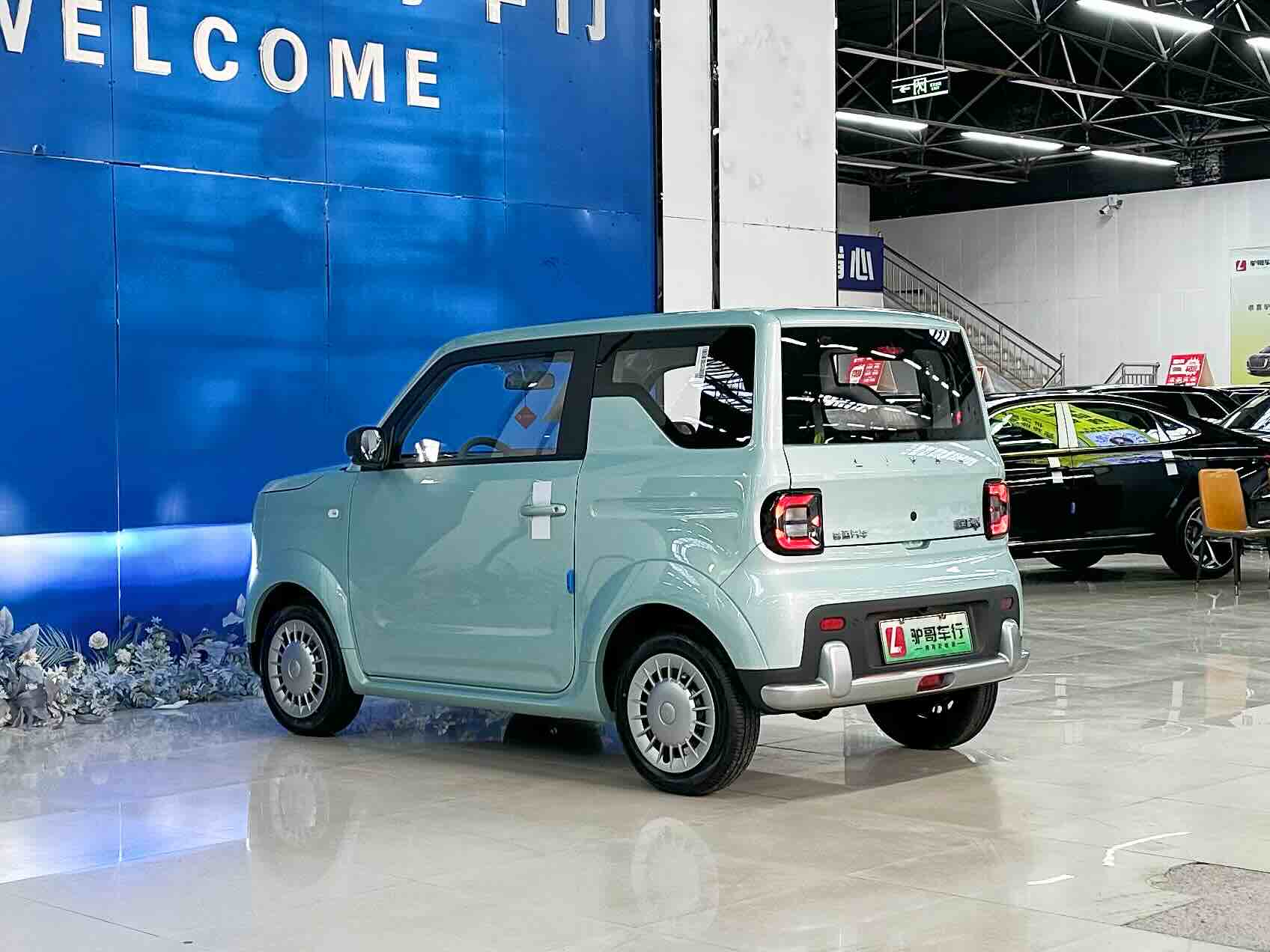 Livan 2026 #13 Livan 2026 imagen de coche #13
