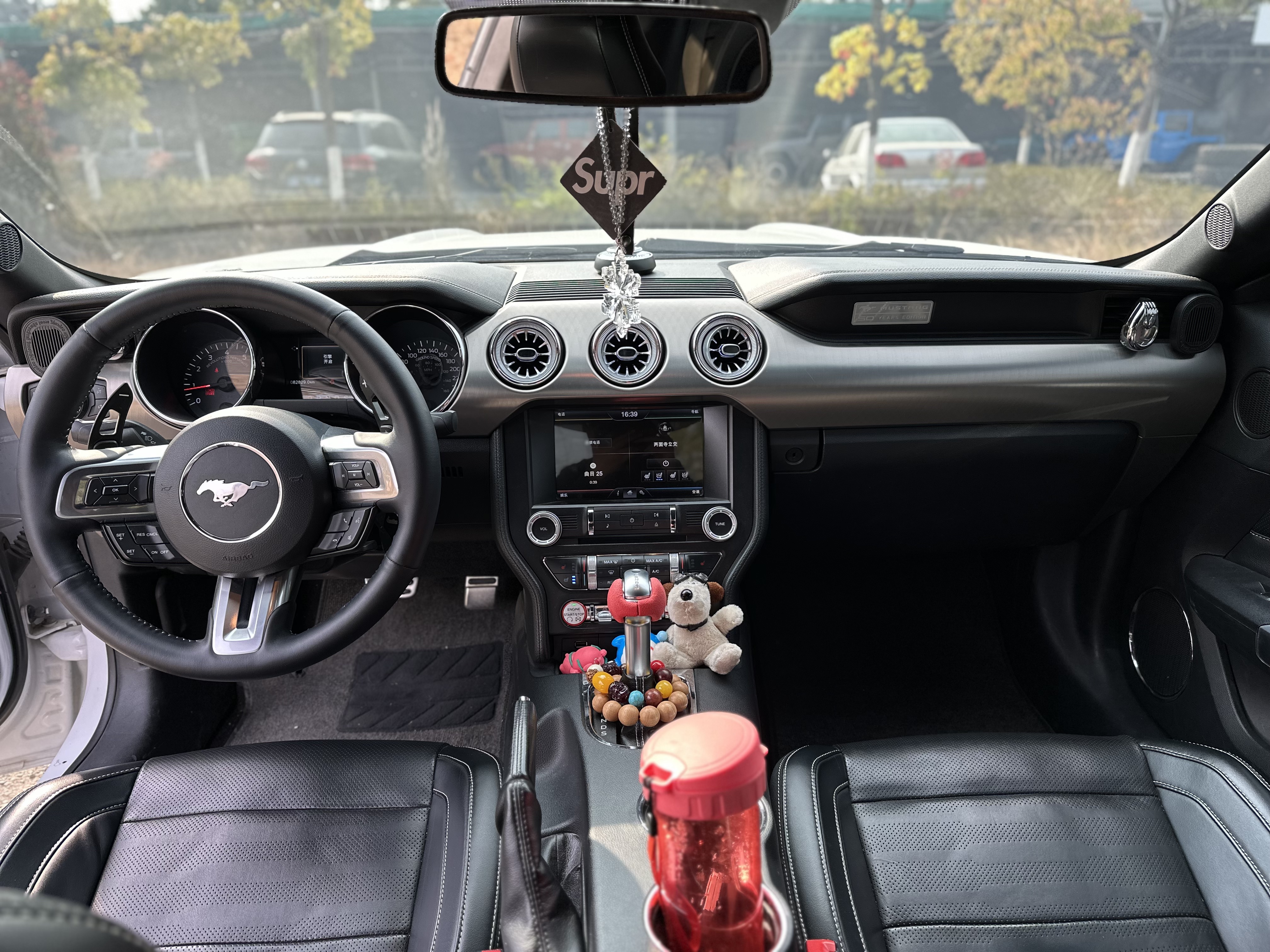 Ford Mustang 2015 car image #13