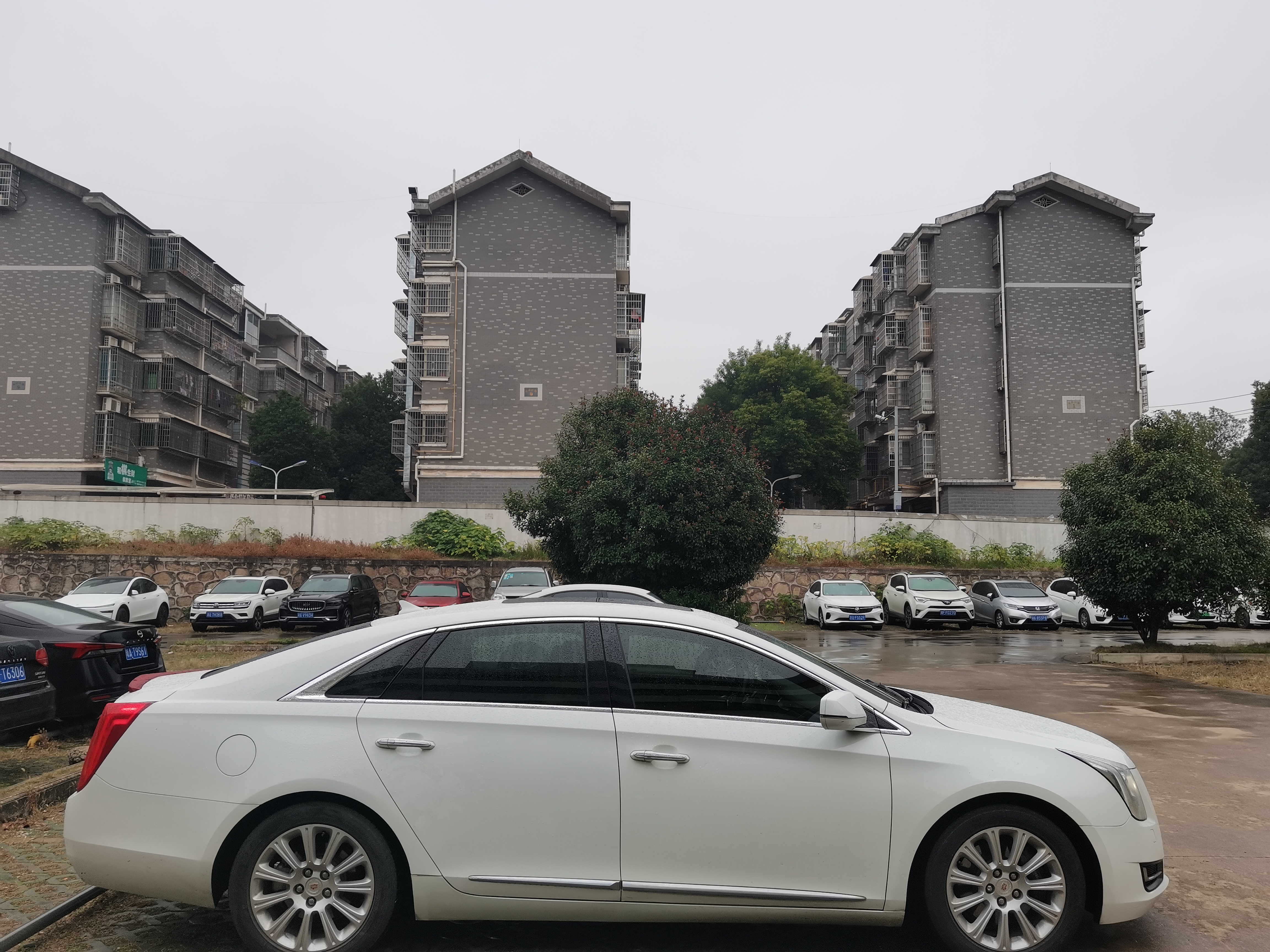 2015 #13 2015 car image #13