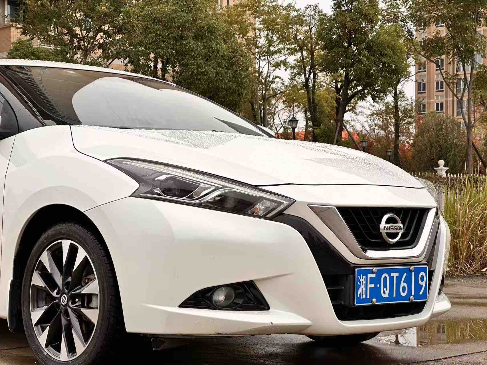 日产 蓝鸟 2019 汽车图片 #13