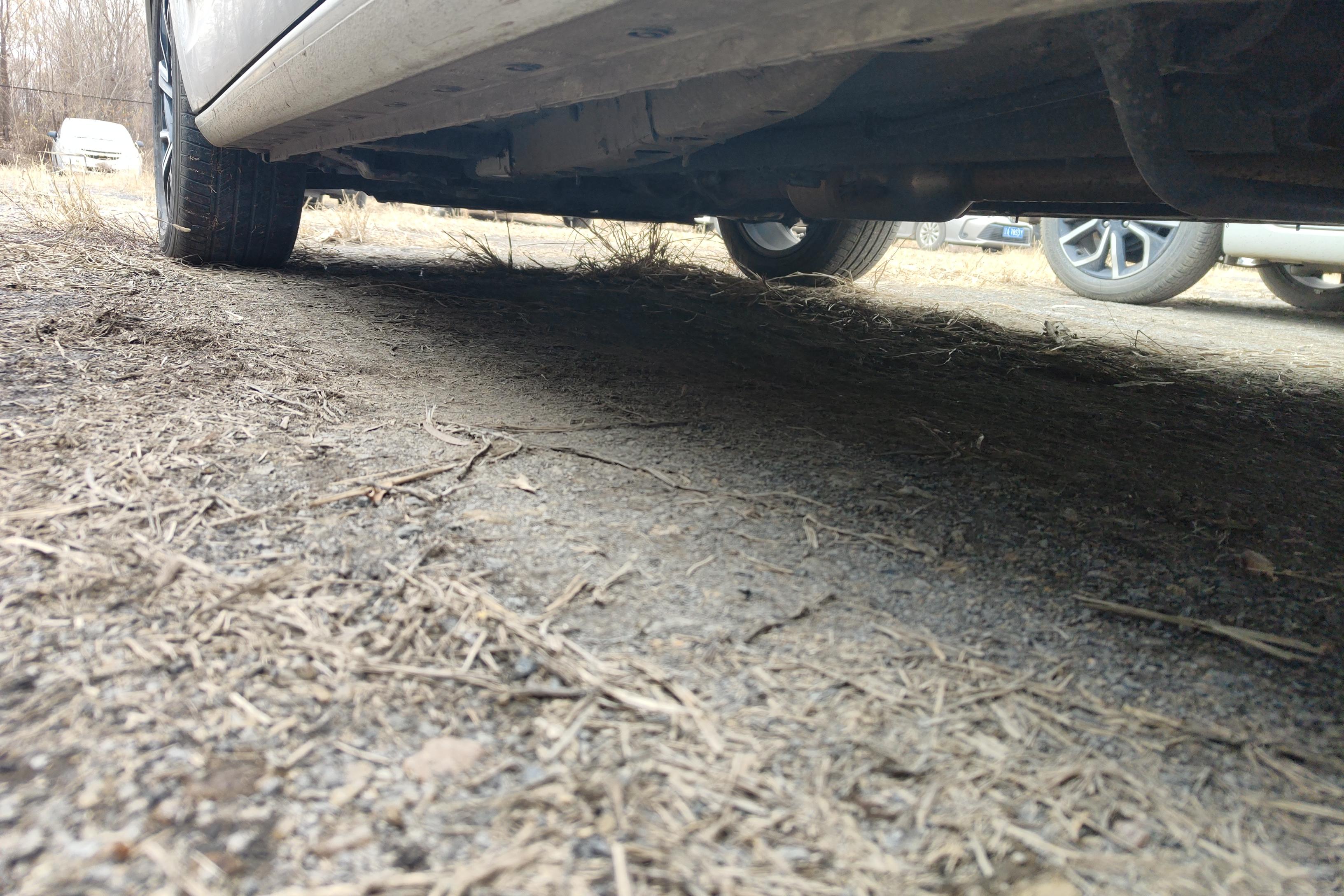 Haval Jolion 2021 #13 Haval Jolion 2021 car image #13