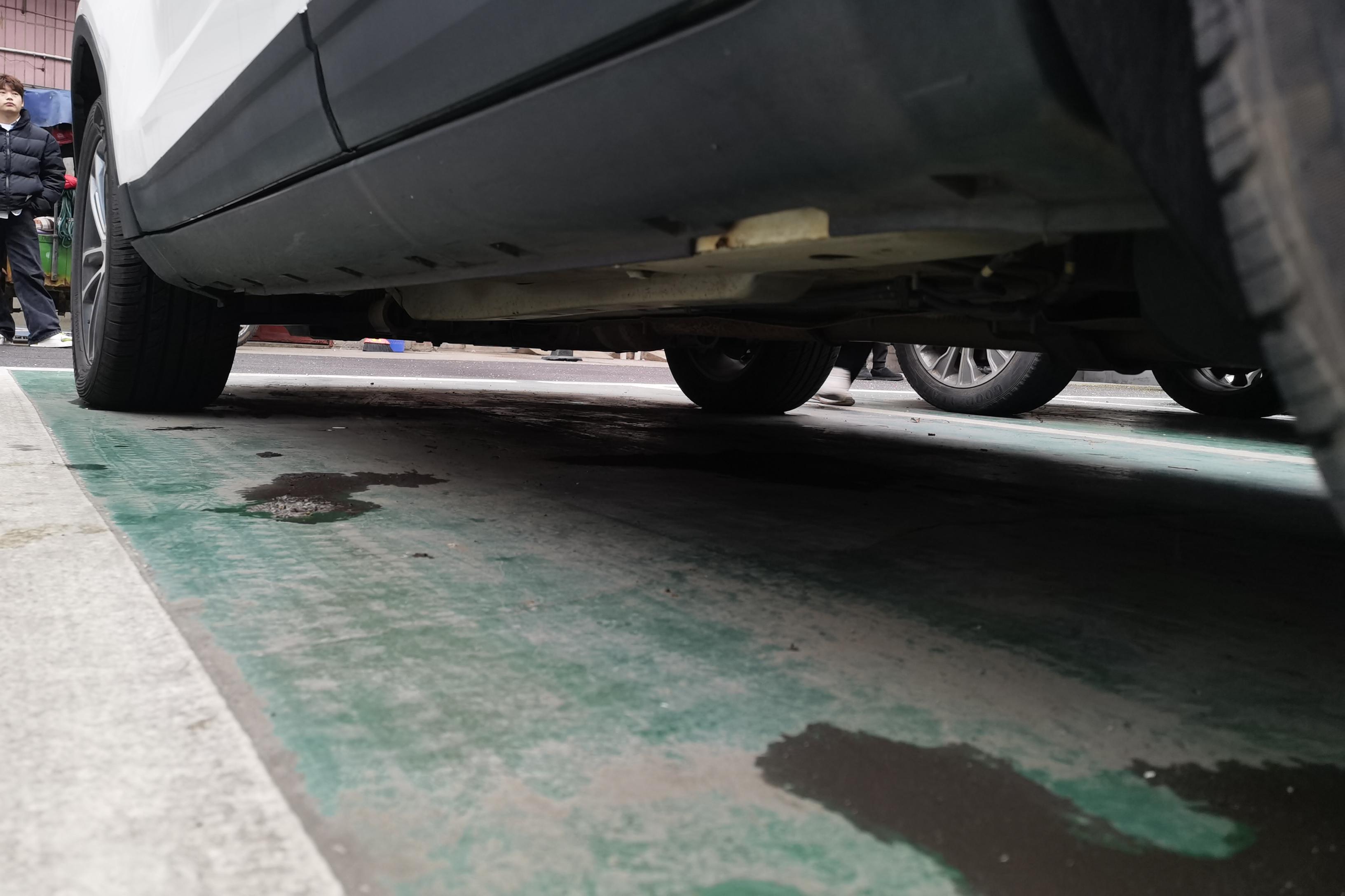 Ford Territory 2019 immagine di auto #13