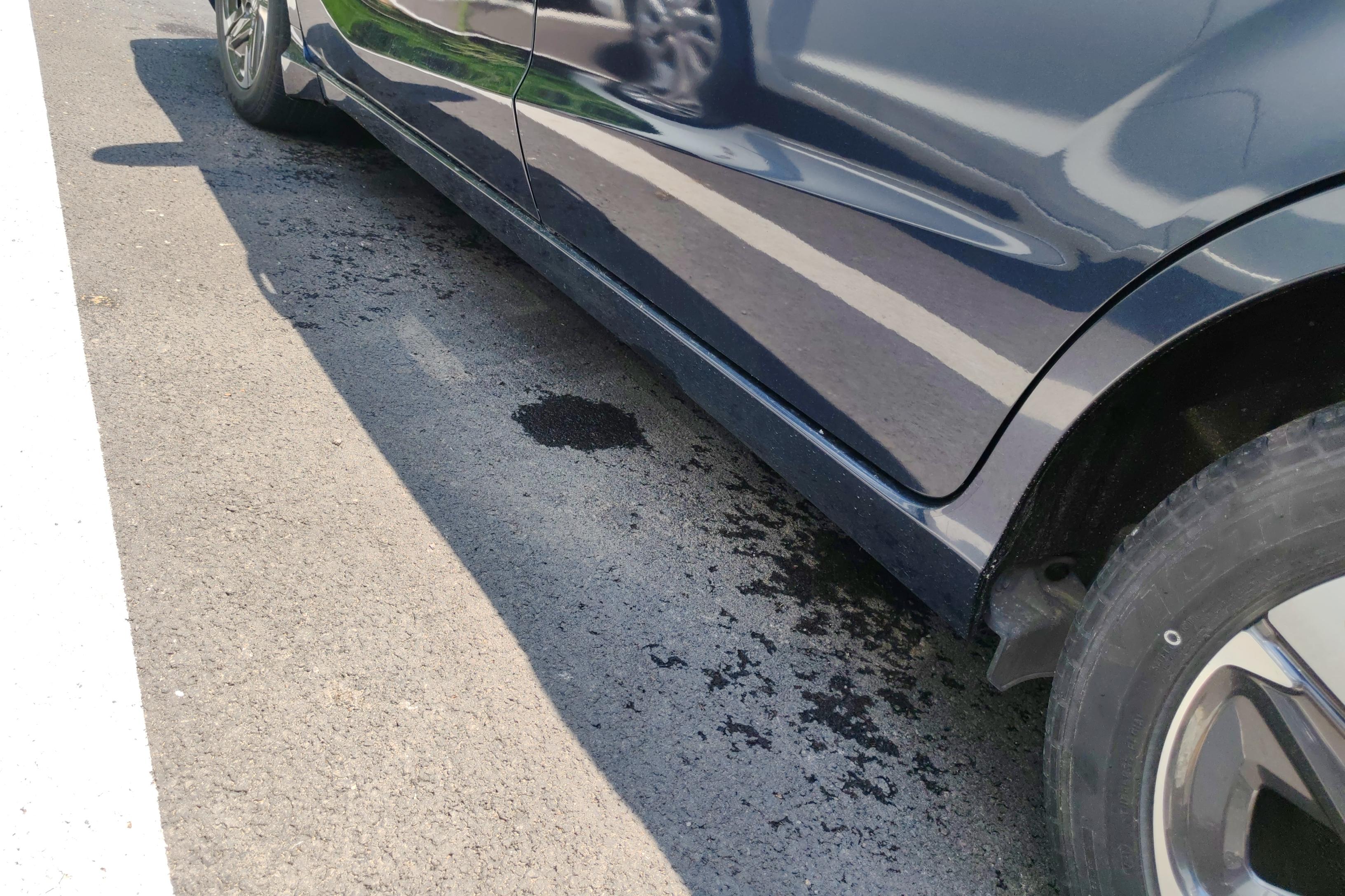 Honda Envix 2020 #13 Honda Envix 2020 صورة سيارة #13