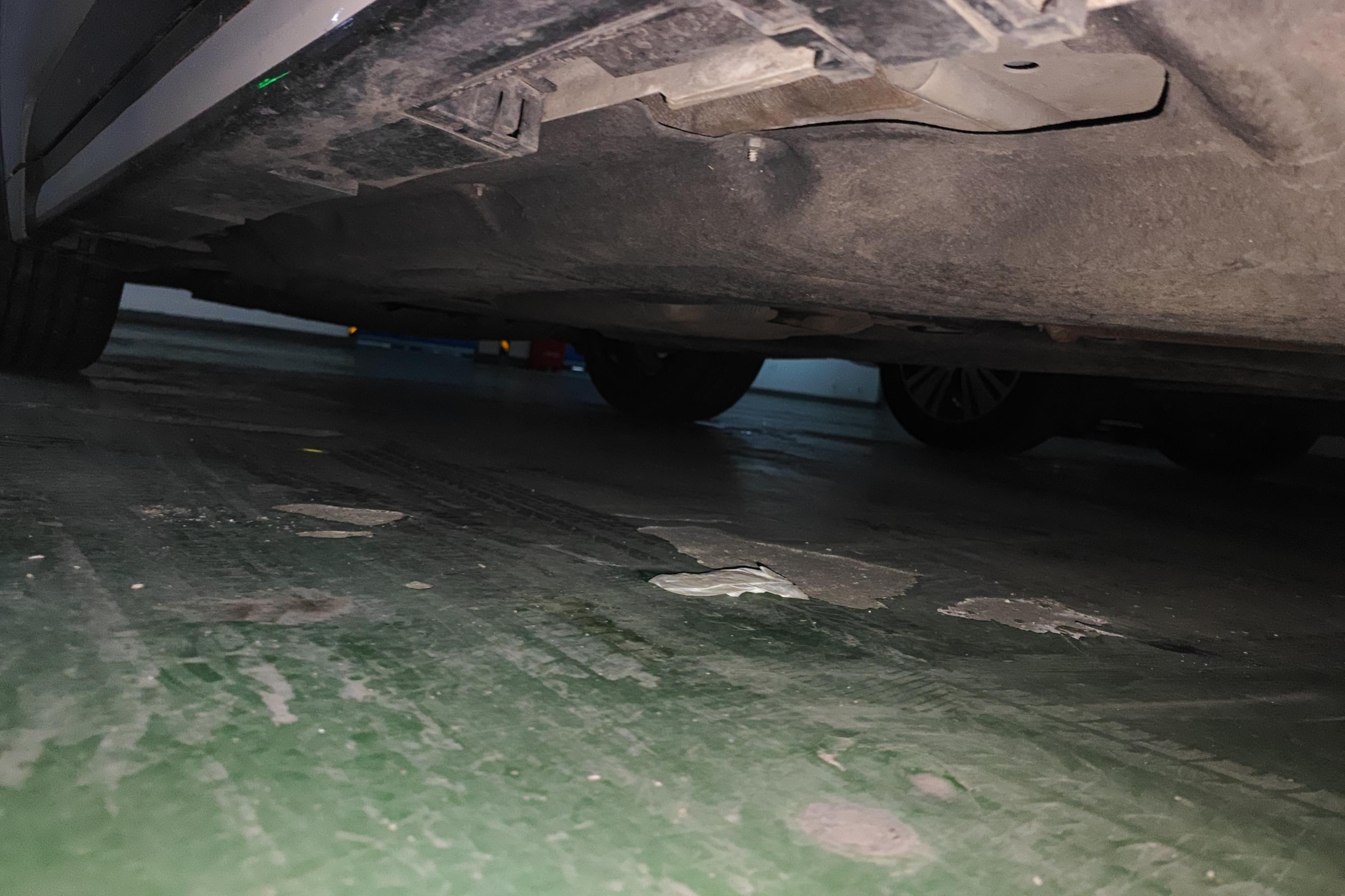 Ford Evos 2021 car image #13