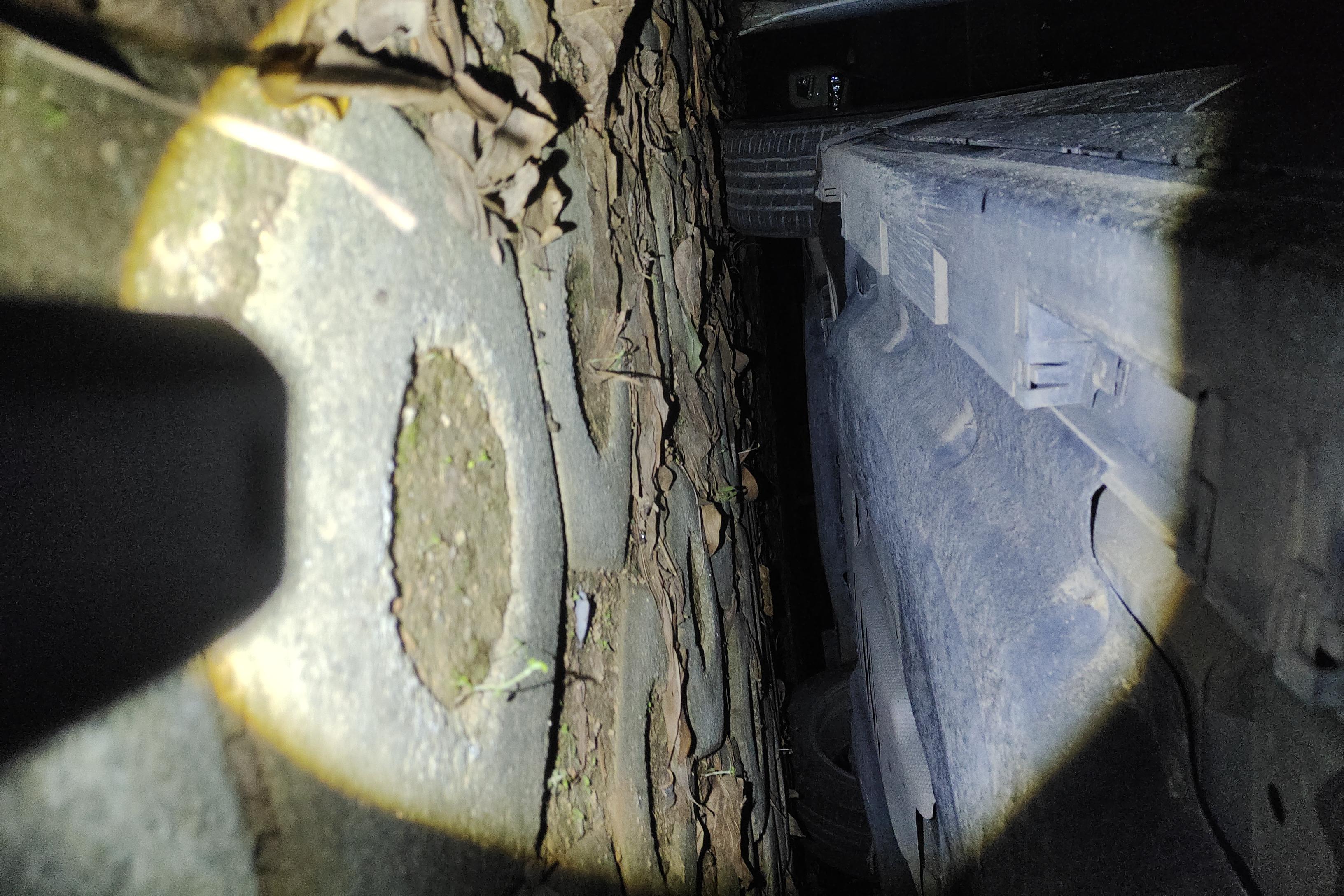 Ford Evos 2022 #13 Ford Evos 2022 imagem de carro #13