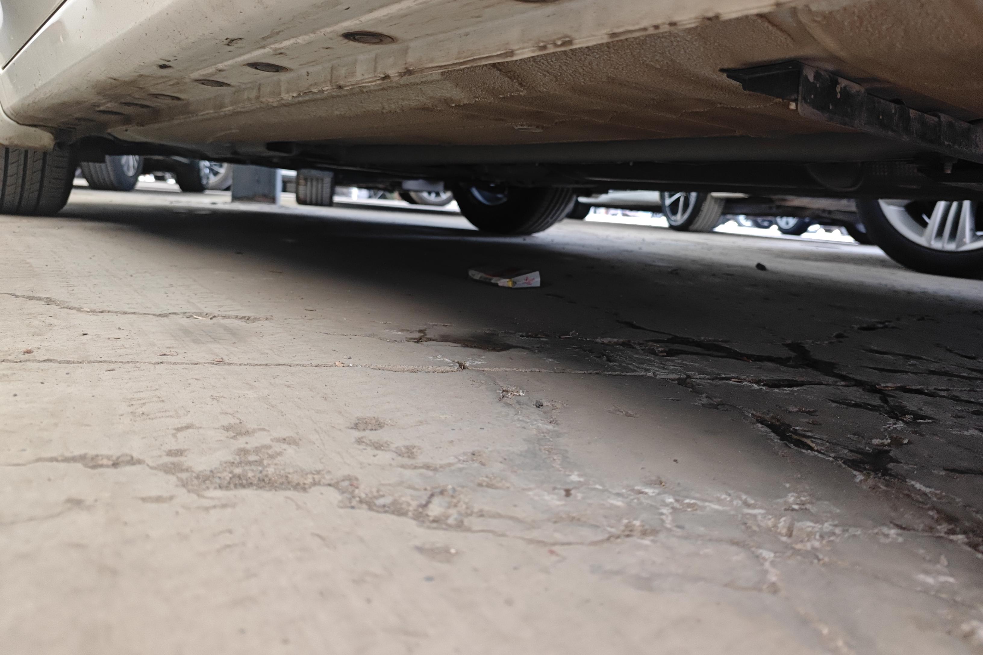 日产 蓝鸟 2023 汽车图片 #13