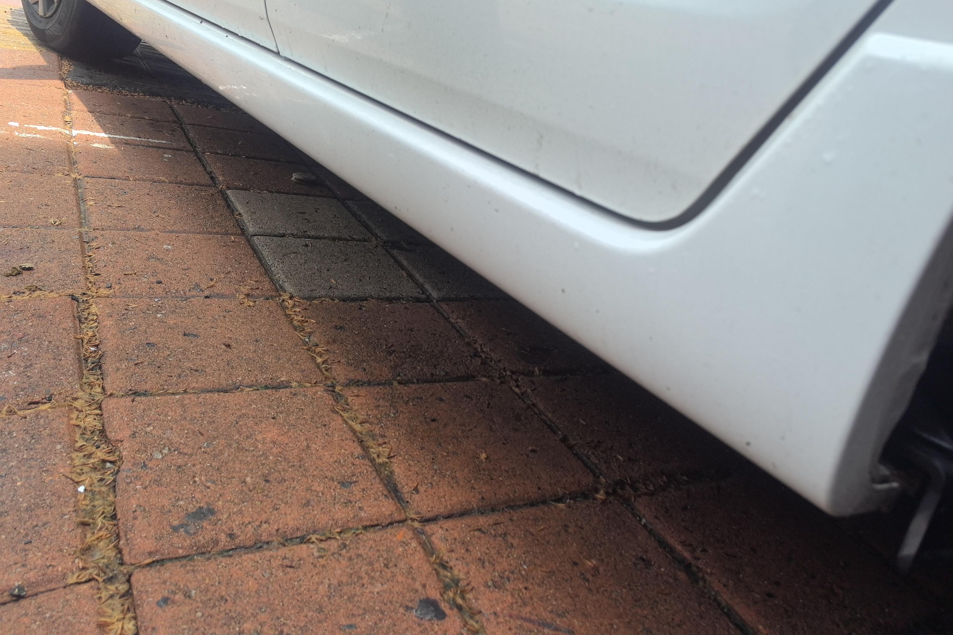 Honda Fit 2021 car image #13