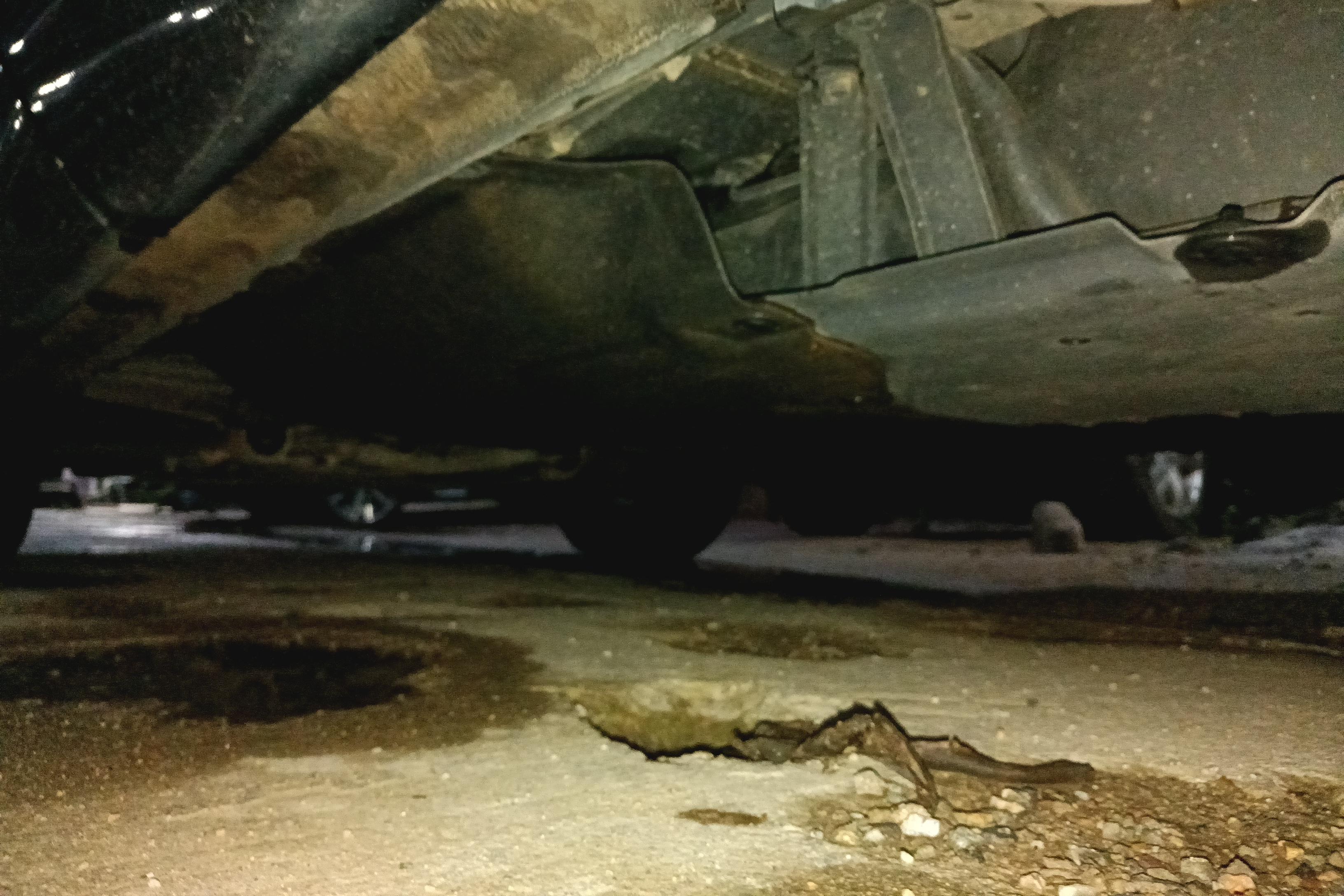 Honda Breeze 2023 car image #13