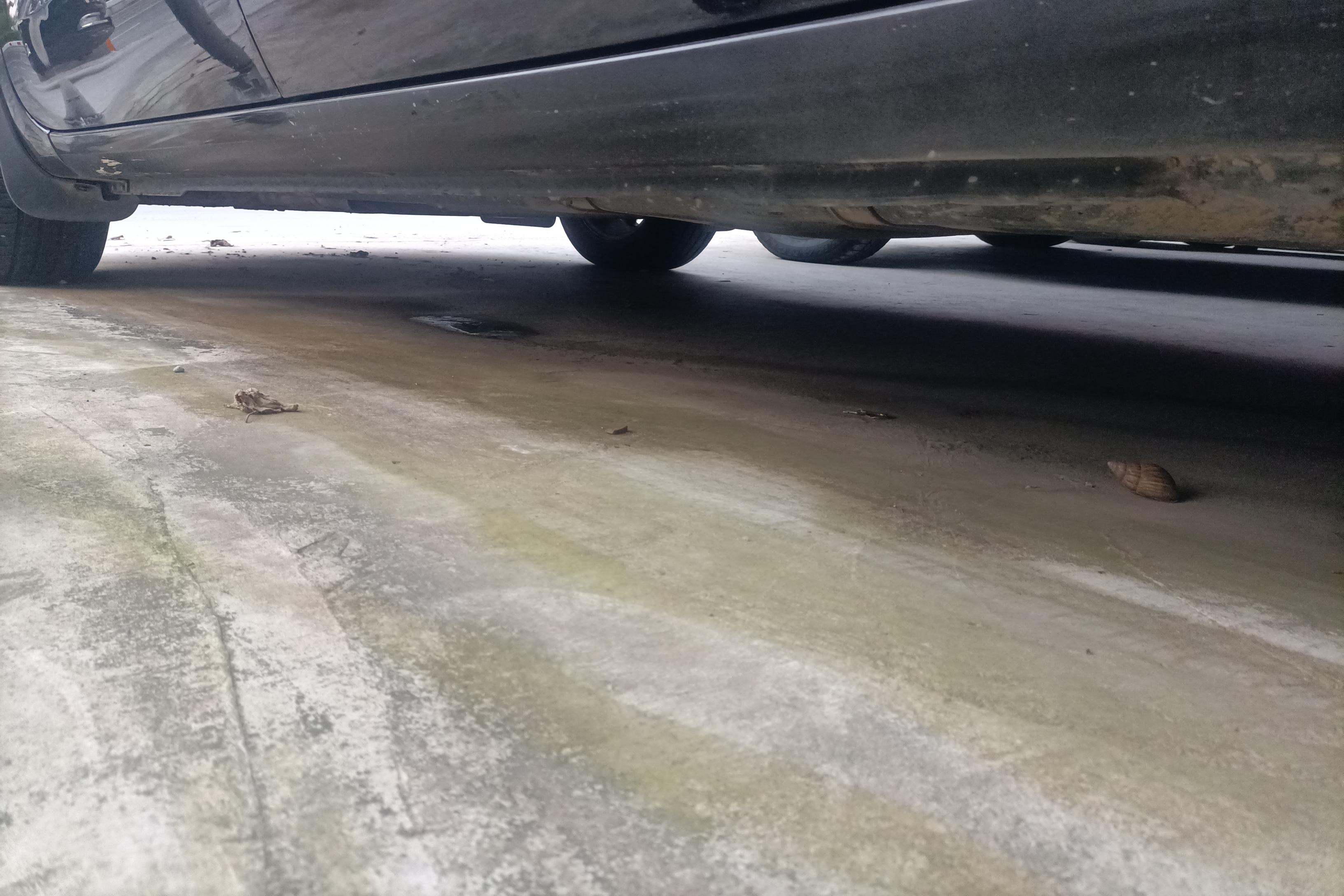 起亚 嘉华 2016 汽车图片 #13