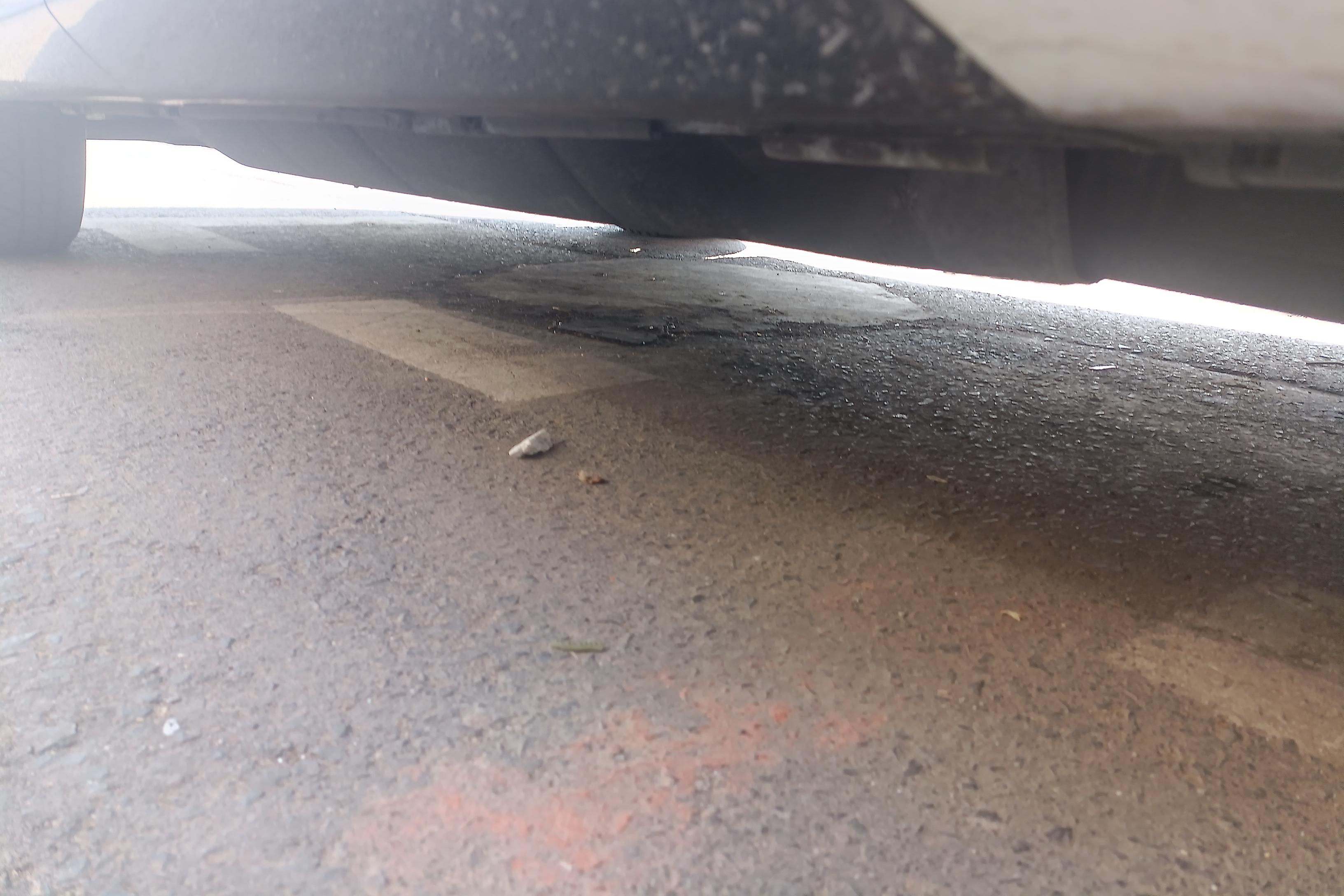 Honda Avancier 2019 car image #13