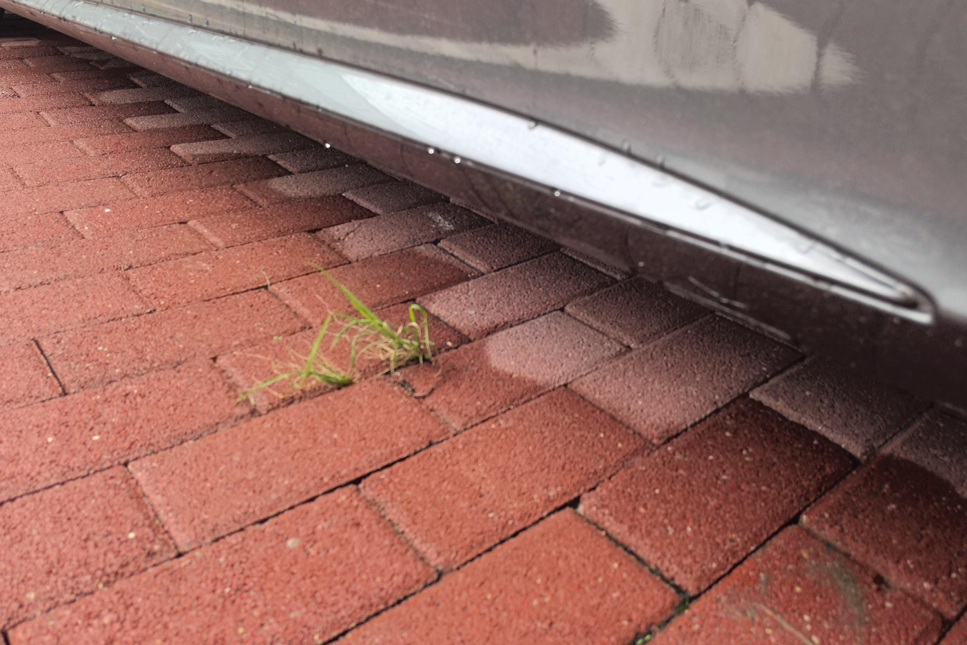 Mercedes-Benz C Class (Imported) 2019 #13 Mercedes-Benz C Class (Imported) 2019 car image #13