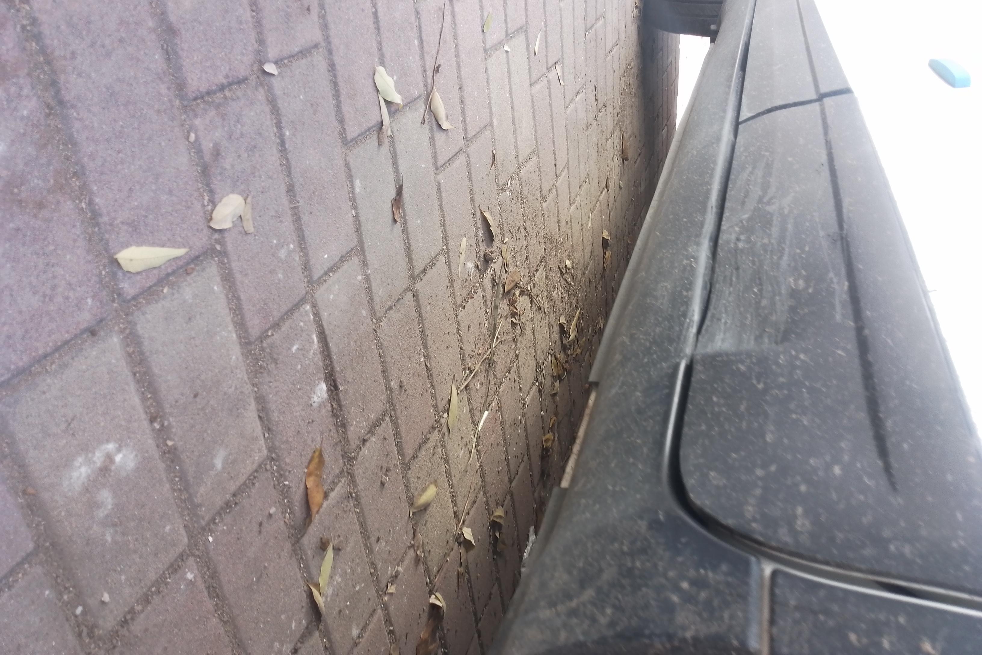 Ford Territory 2019 car image #13