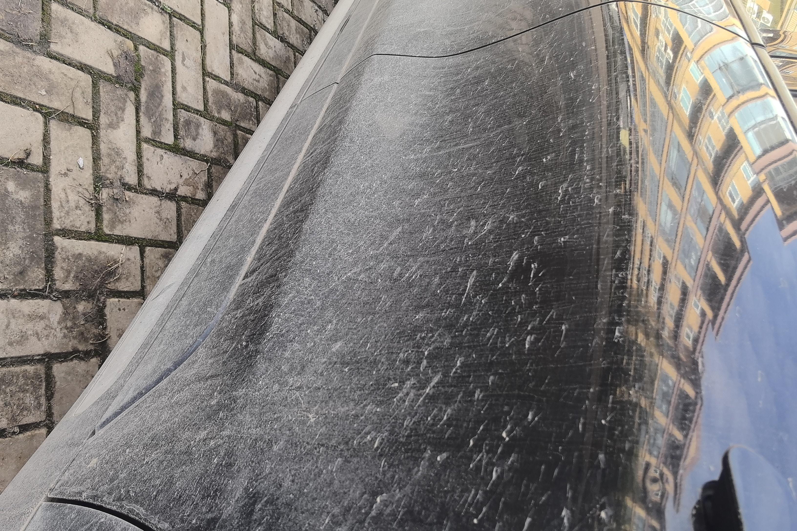 Ford Evos 2021 #13 Ford Evos 2021 immagine di auto #13