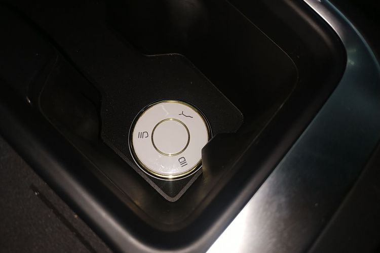 Neta L 2025 imagen de coche #13