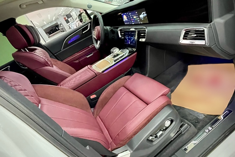 HongQi E-HS9 2024 car image #13