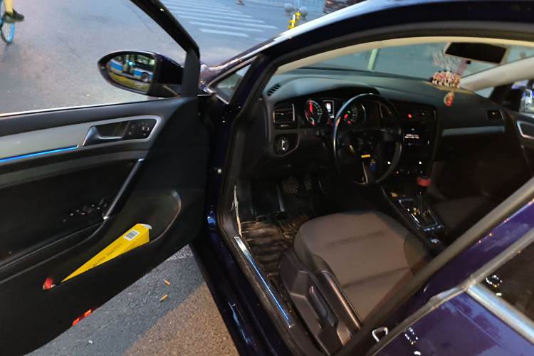 Volkswagen Golf Pure Electric 2020 car image #13