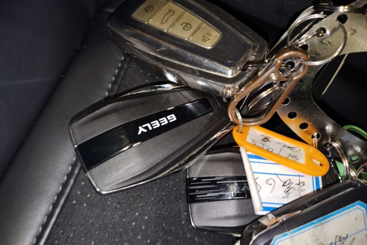 GEELY Tugella 2023 car image #13