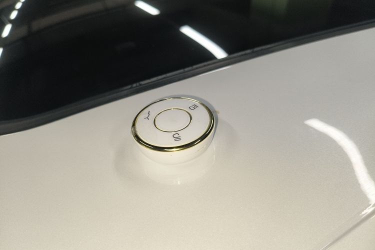 Neta L 2024 imagen de coche #13