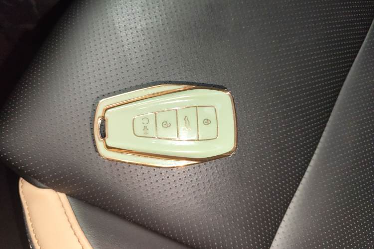 GEELY OkavangoPRO 2024 car image #13