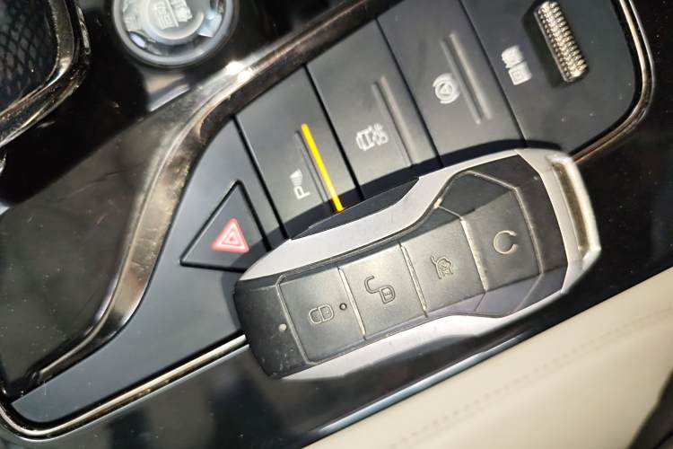 BYD e9 2021 car image #13