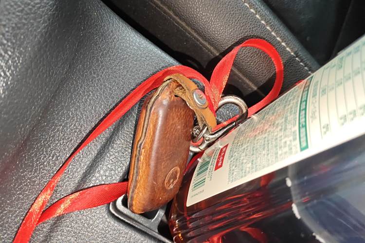 Volkswagen Sagitar 2019 immagine di auto #13