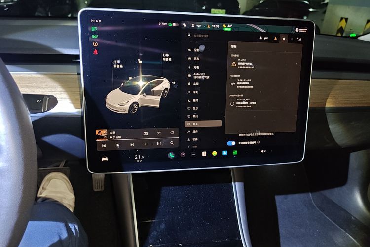 特斯拉 Model 3(进口) 2019 汽车图片 #13