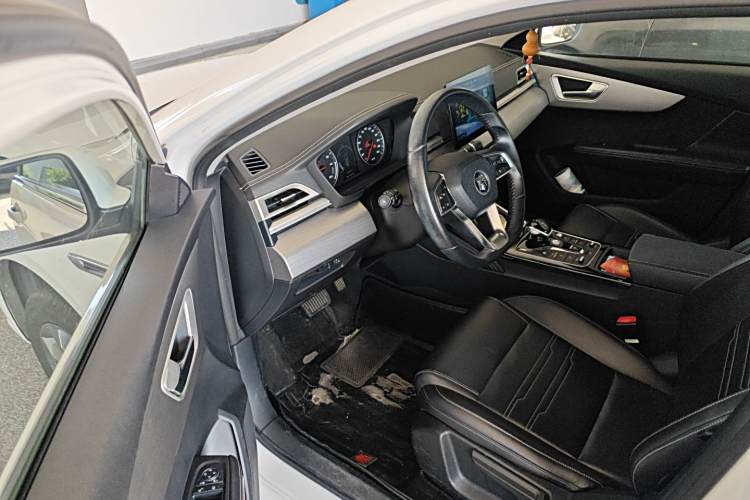 BYD Qin New Energy 2021 car image #13