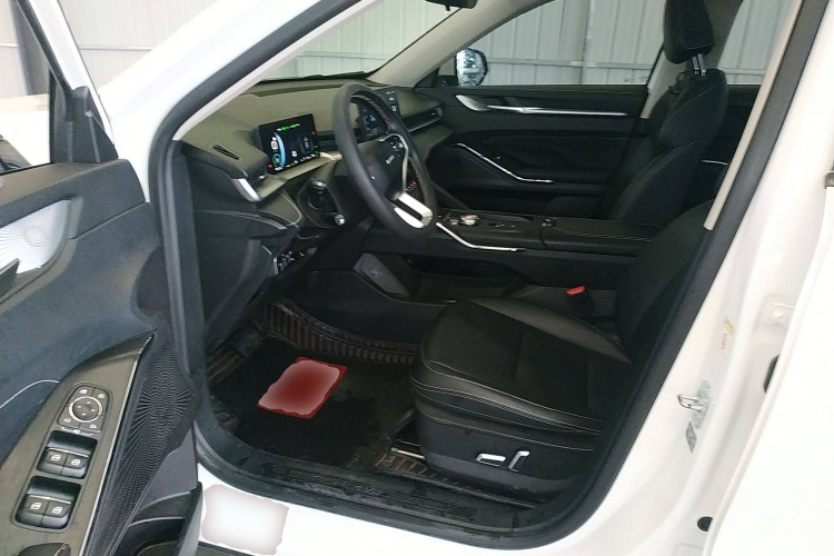 Haval H6 2022 immagine di auto #13