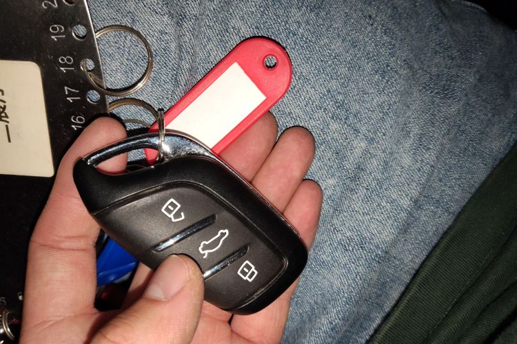 Roewe D5X DMH 2024 car image #13