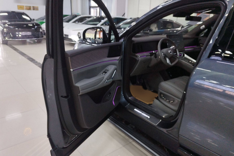 Denza N9 2025 immagine di auto #13