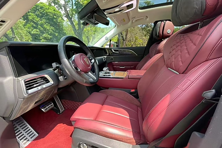 HongQi E-HS9 2021 immagine di auto #13