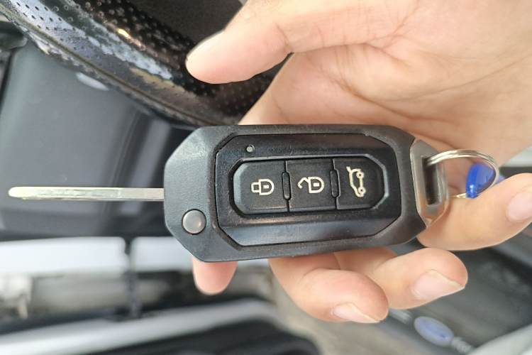 Ford Territory EV 2020 car image #13