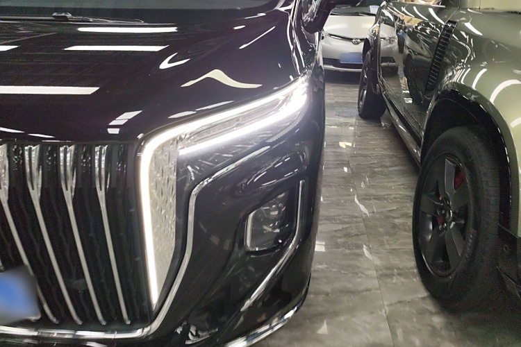 HongQi HQ9 2022 immagine di auto #13