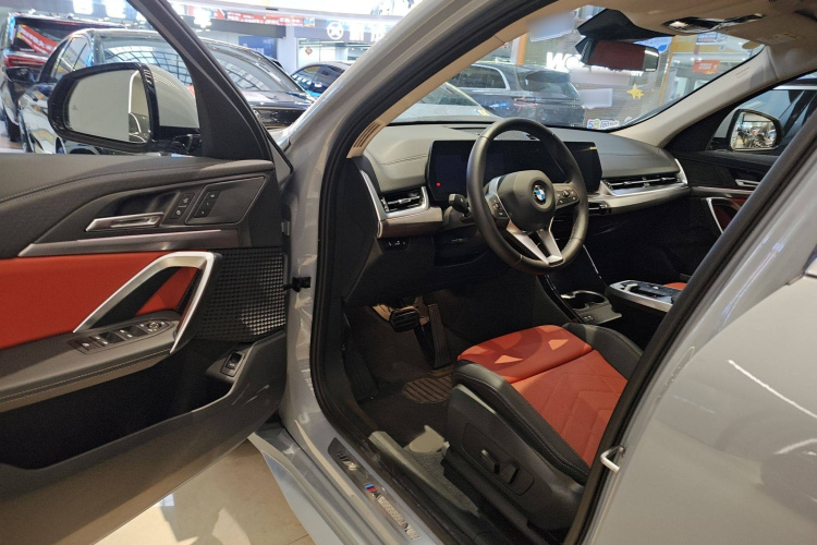 BMW X2 (Imported) 2024 imagen de coche #13