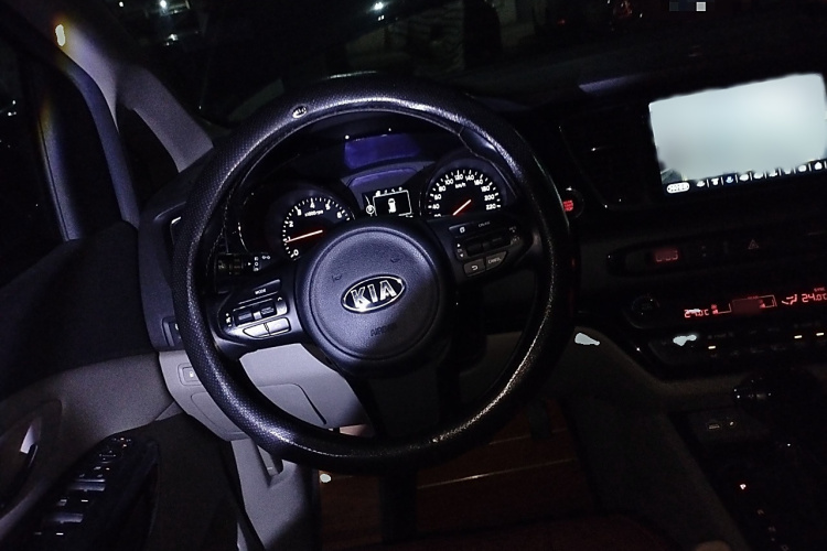 Kia Carnival (Imported) 2016 car image #13