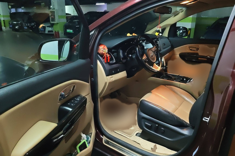 Kia Carnival (Imported) 2016 изображение автомобиля #13