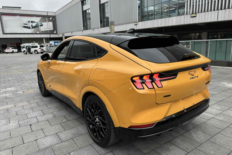 Ford Mustang Mach-E 2023 car image #13