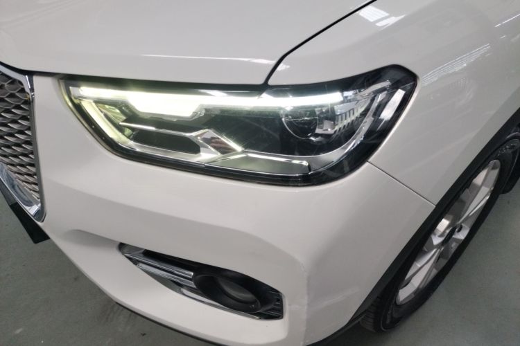 Haval H2s 2019 car image #13