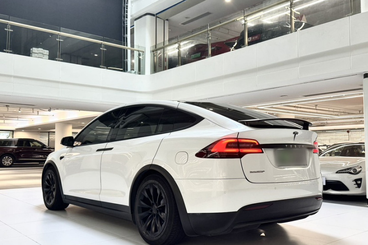 Tesla Model X 2019 car image #13