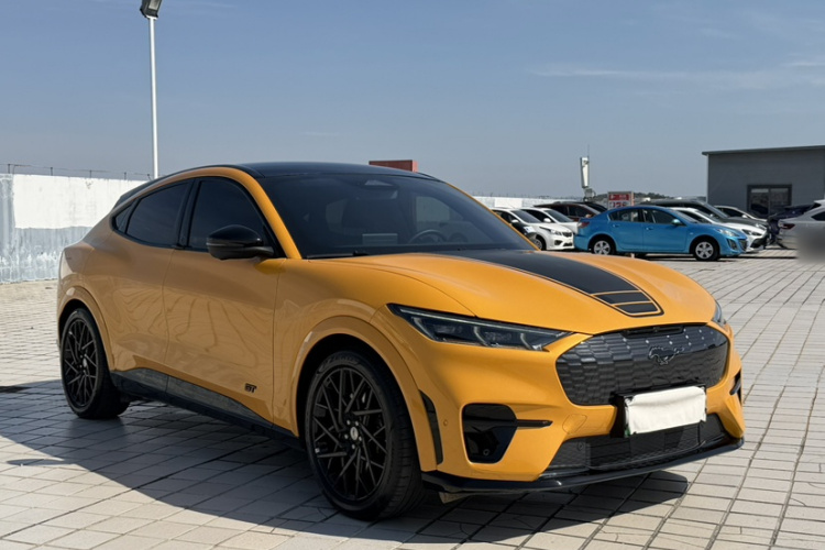 Ford Mustang Mach-E 2023 car image #13