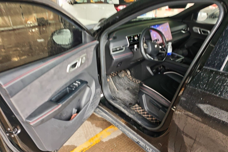 哪吒汽车 哪吒X 2023 汽车图片 #13