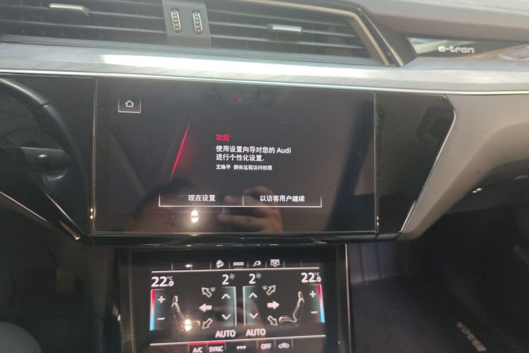 Audi e-tron 2022 imagen de coche #13