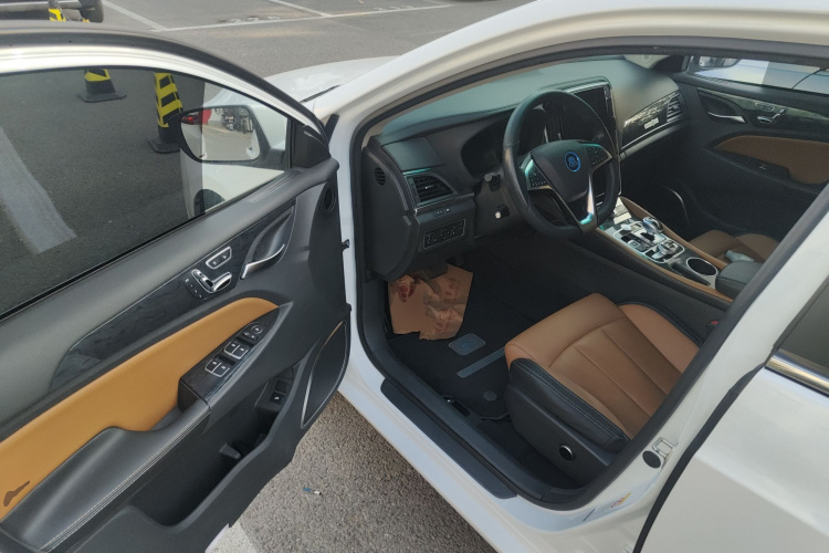 BYD Qin New Energy 2018 car image #13