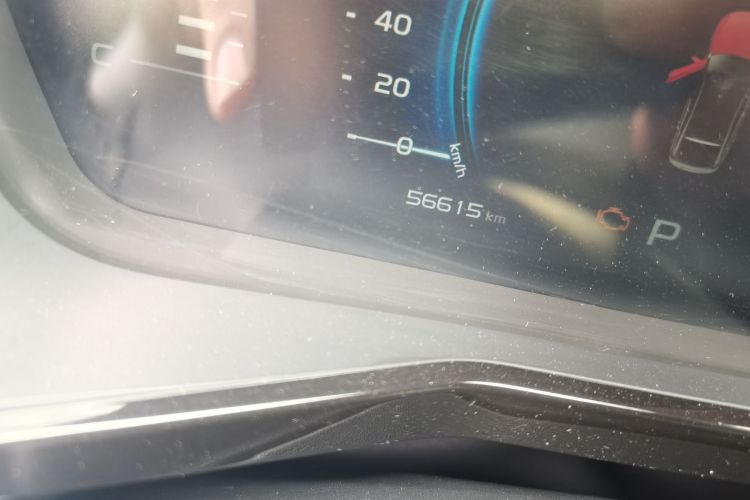 GEELY Tugella S 2021 car image #13