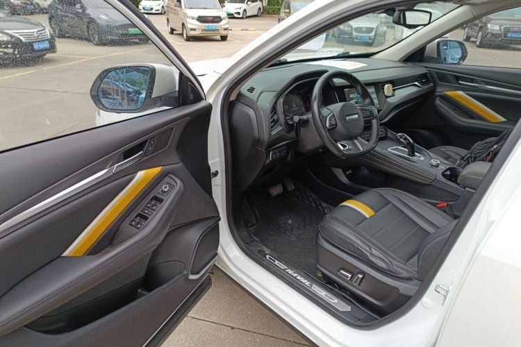 Haval F7x 2020 #13 Haval F7x 2020 car image #13