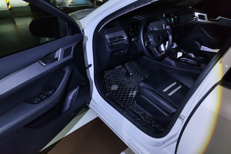 BYD Qin Pro 2020 car image #13