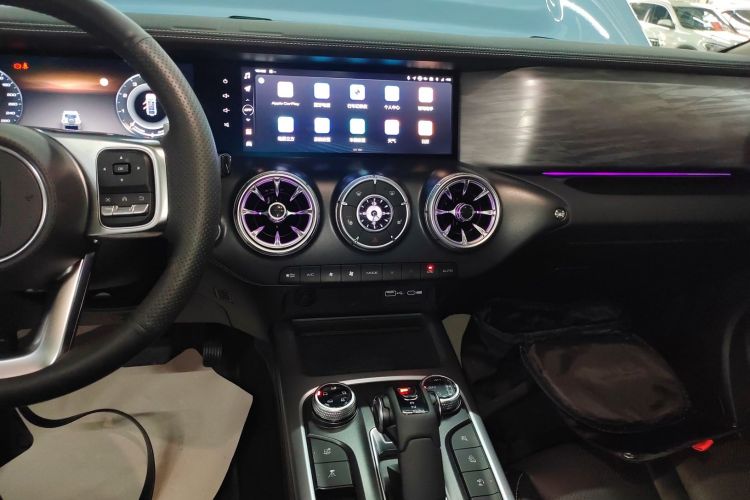 Tank 300 New Energy 2024 imagem de carro #13