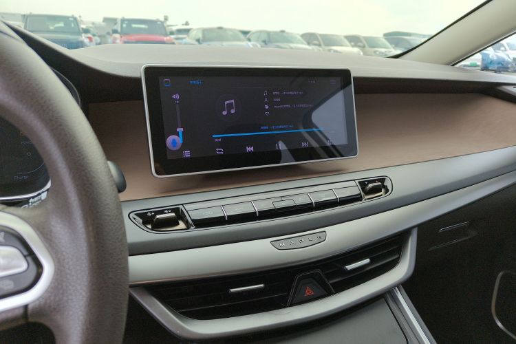 睿蓝汽车 枫叶80v 2021 汽车图片 #13