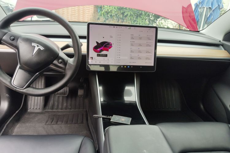 特斯拉 Model 3(进口) 2019 汽车图片 #13